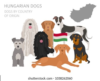 Dogs by country of origin. Hungarian dog breeds. Infographic template. Vector illustration