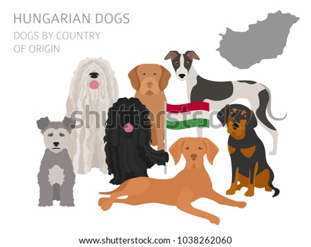 Dogs by country of origin. Hungarian dog breeds. Infographic template. Vector illustration