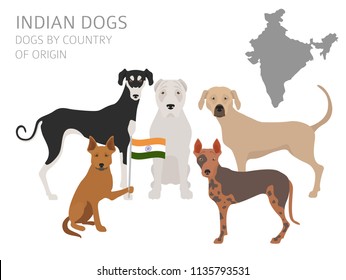 Dogs by country of origin. Indian dog breeds. Infographic template. Vector illustration