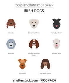 Dogs by country of origin. Irish dog breeds. Infographic template. Vector illustration