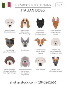 Dogs by country of origin. Italian dog breeds. Infographic template. Vector illustration
