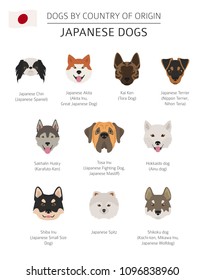 Dogs by country of origin. Japanese dog breeds. Infographic template. Vector illustration