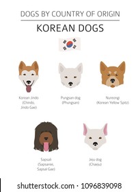 Dogs by country of origin. Korean dog breeds. Infographic template. Vector illustration