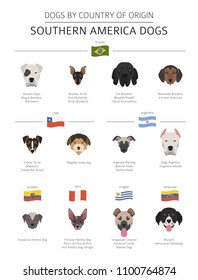 Dogs by country of origin. Latin american dog breeds. Infographic template. Vector illustration