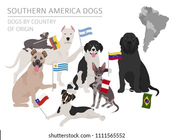 Dogs by country of origin. Latin american dog breeds. Infographic template. Vector illustration