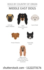 Dogs by country of origin. Near East dog breeds, persian dogs. Infographic template. Vector illustration