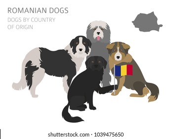 Dogs by country of origin. Romanian dog breeds. Infographic template. Vector illustration svg