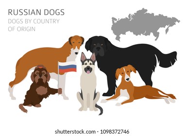 Dogs by country of origin. Russian dog breeds. Infographic template. Vector illustration