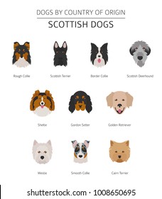 Dogs by country of origin. Scottish dog breeds. Infographic template. Vector illustration