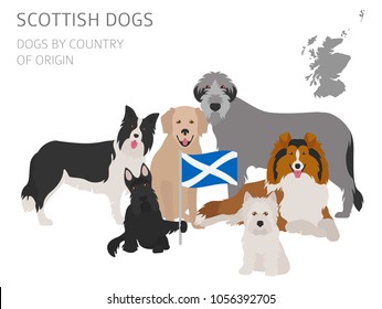 Dogs by country of origin. Scottish dog breeds. Infographic template. Vector illustration