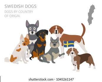 nordic dog breeds