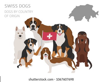 Dogs by country of origin. Swiss dog breeds. Infographic template. Vector illustration