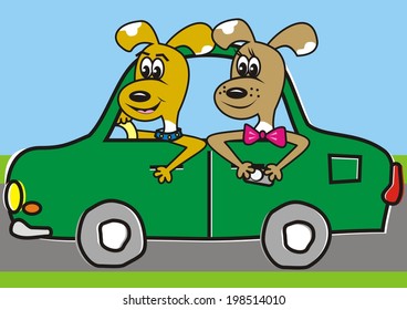 dogs in the car, vector illustration
