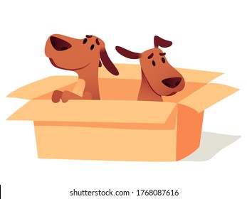 Dogs in cardboard box waiting for owner, adoption concept. Homeless cute puppies searching new home. Animals sitting in carton. Help sad pets to find friend cartoon vector illustration