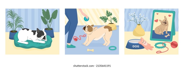 Dogs cards set with rest and activity symbols flat isolated vector illustration