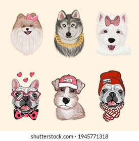 Dogs cartoon heads face emoticons for t shirts design, logo, banners vector set. Collection Different Breeds of Canines, Isolated.