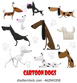 Dogs cartoon set with bull terrier, boxer, poodle, dachshund, dalmatian. Vector illustration