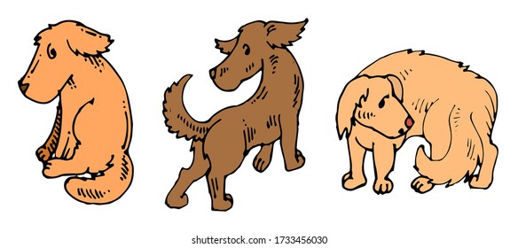 Dogs. Cartoon set.
Vector is isolated on a white background. Hand drawing.