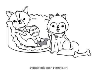 Dogs cartoons design vector illustrator