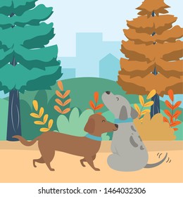 Dogs cartoons design vector illustrator