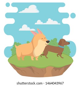 Dogs cartoons design vector illustrator