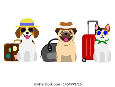 Dogs And Cat Group Going To Travel