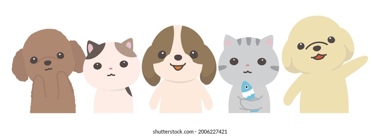 Dogs and Cats. Aligning and Looking at the Camera. Upper body.