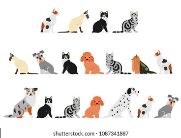 dogs and cats border set