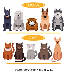 dogs and cats. cartoon vector set
