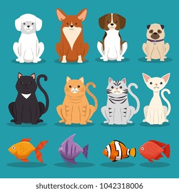 dogs cats and fish pets characters