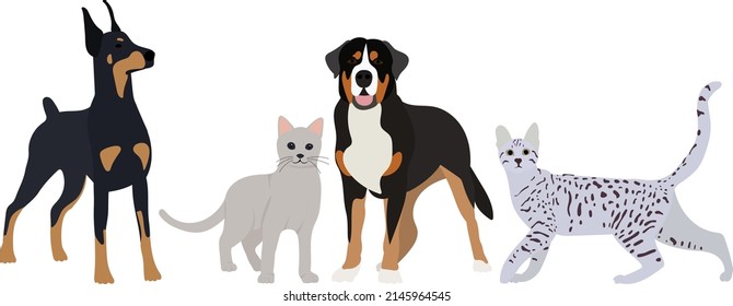 dogs and cats flat design, isolated, vector