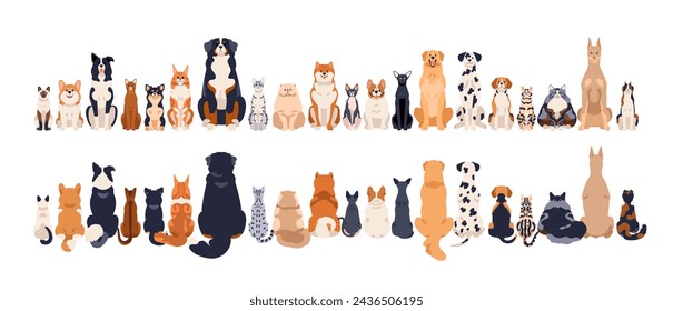 Dogs and cats, front and back rear views, tails. Canine and feline animals group sitting in row, line. Many pets breeds, horizontal border. Flat vector illustration isolated on white background