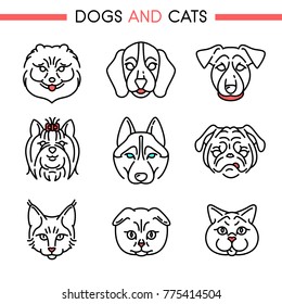 Dogs and cats  icon set. Pommeranter Spitz, Beagle, Jack russell terrier, Yorkshire terrier, Husky, Mops, Maine coon cat, Scottish Fold, British Short Hair for web, mobile app, logo, infographics, vi