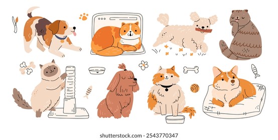 Perros y gatos, personas, amigos y compañeros. Vector en estilo plano, conjunto aislado de lindos animales felinos y caninos con peluche y bozales divertidos. Personajes encantadores descansando y siendo activos