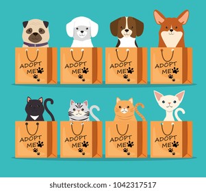 dogs and cats pets in adoption bags characters