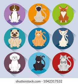 dogs and cats pets characters
