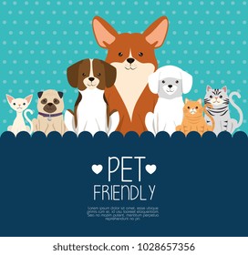 dogs and cats pets friendly