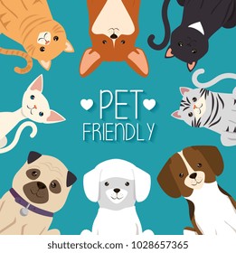 dogs and cats pets friendly