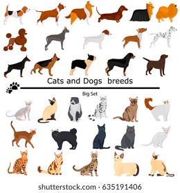 Dogs and cats set color flat icons for web and mobile design