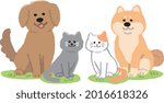 Dogs and cats sitting facing you