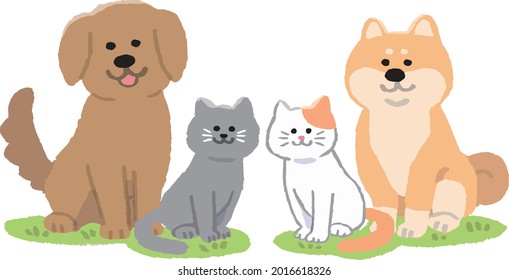 Dogs and cats sitting facing you