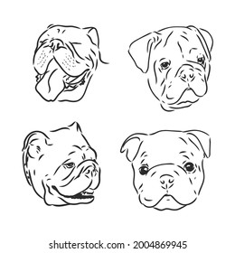 Dogs characters doodle sticker english bulldog. Funny animals isolated set