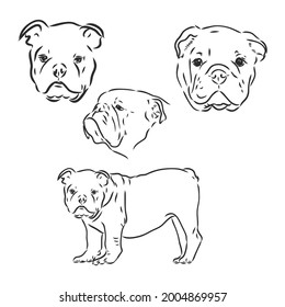 Dogs characters doodle sticker english bulldog. Funny animals isolated set