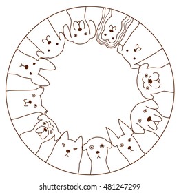 dogs circle