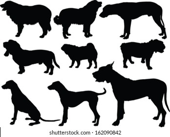 dogs collection 2 - vector