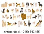 Dogs Collection 3 cute on a white background, vector illustration.