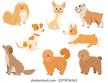 Dogs collection. Cartoon dogs of different breeds. Pet animal, cute puppy. Chihuahua, toy poodle, corgi, pomeranian, bulldog, jack russell terrier. Vector hand draw illustration.