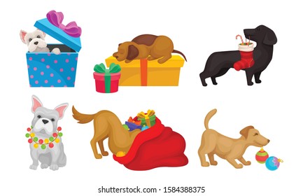 Dogs Collection, Cute Pets of Different Breeds with Christmas Accessories Vector Illustration