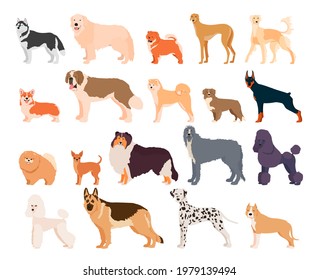 Dogs collection. Different breeds. Vector illustration isolated on white background