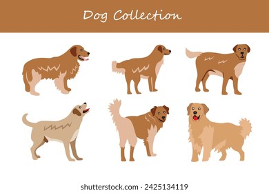 Dogs collection. Different poses. Vector illustration